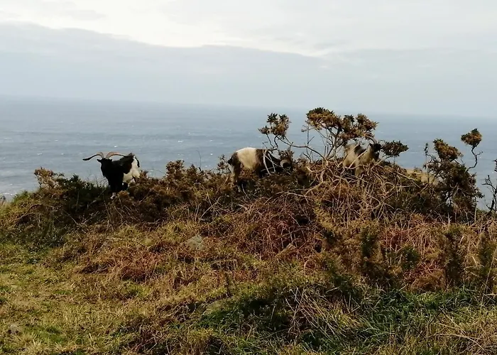 O Solpor Casa de Férias Cariño